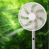 2 Versions Mechanical, Digital Modes, 2-Height Adjustable AC Motor 3-Speed 9-hour 3-Mode Air Cooling Stand Fan Desk Fan - Image 7
